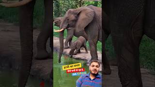 baby elephant is drinking water and mother elephant helping 😀 #elephant #baby #wildlife #shorts #yt