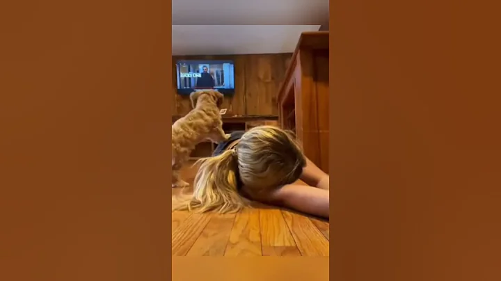 Pretend to faint and see how your dog reacts #tiktok #dog #funny #foryou #fpy #funnyvideo