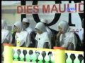 Maulaya Sholawat Burdah Juara II Al Mustofa Muhasabatul Qolbi Jombang