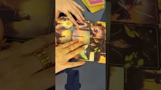 What's going on between your person and the third party? Timeless love tarot reading