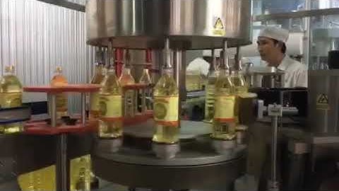 Square bottle hot melt opp labeling machine