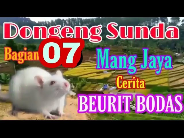 Dongeng Sunda Mang Jaya Cerita BEURIT BODAS bagian ke 07 class=