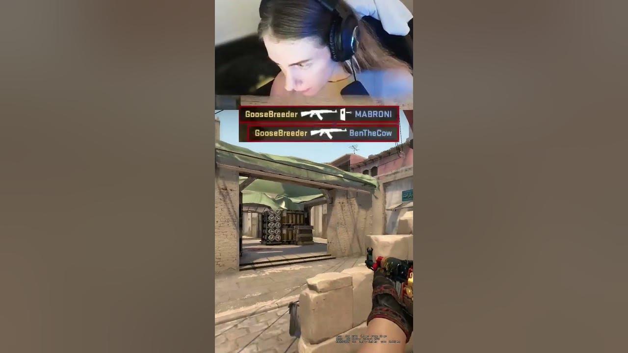 Daily clip for you guys csgo goosebreeder csgoclips shorts YouTube
