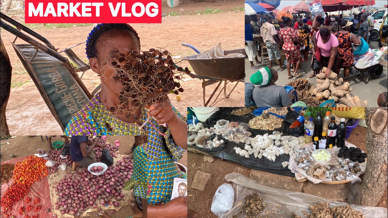 Raw Market Vlog CURRENT PRICE OF FOOD STUFFs IN ABUJA NIGERIA 🇳🇬 Africa Village Life YouTube
