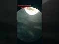 Using a16” Meade lightbridge with 2x Barlow and 10mm 52° explore scientific eyepiece w iPhone 12pro