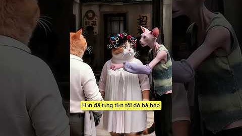 Qua kiếp nạn 49, 50 nay mồn lèo và hồn lổ chuyển sang đóng góp bộ phim khung fu phần 51. #meocambeo 