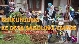 Berkunjung ke Desa Saguling Kabupaten Ciamis|suasana desa