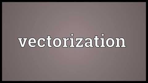 Vectorization Meaning