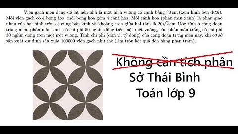 Sở Thái Bình: Toán 9: Viên gạch men dùng để lát nền nhà là một hình vuông có cạnh bằng 80 cm