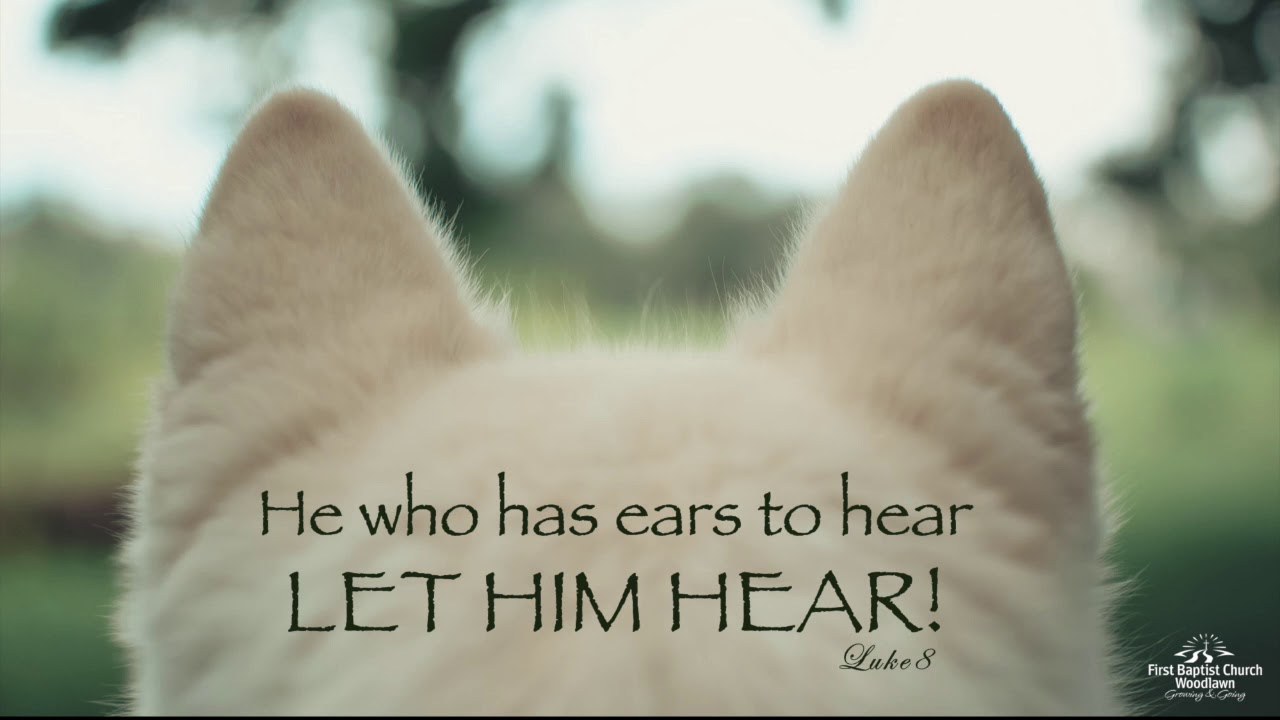 Luke 8 He Who Has Ears Let Him Hear Youtube