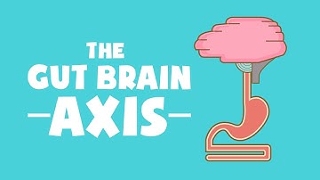 Human Science (Part 1) - The Gut Brain Axis, Microbiome & the power of Probiotics