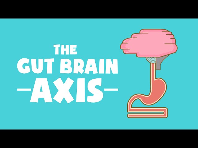 what is the gut