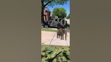 Adobe Aero AR video