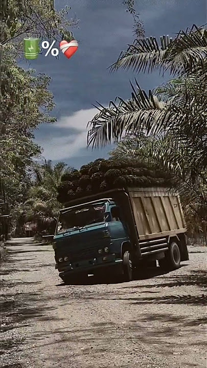 Umplung mania🤟 #truckterguling #trucksawit #truckviral #truckmbois #trending #fyp #shorts