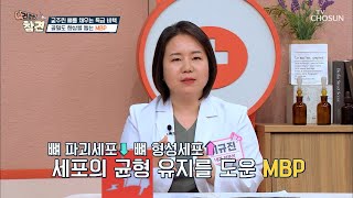 송송 구멍 난 뼈에 골밀도 향상을 도움 주는 ★MBP★ TV CHOSUN 20220520 방송 | [건강한 참견］ 20회 | TV조선