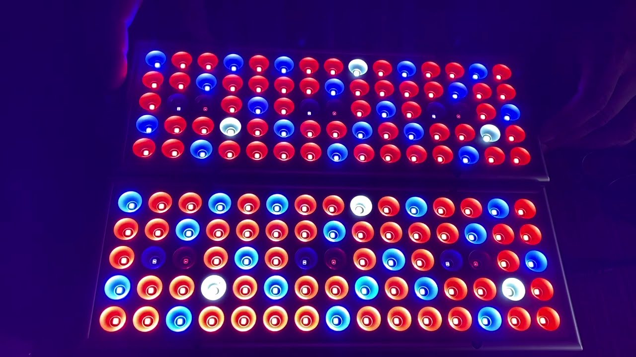 Unboxing Amazon's Cheapest LED Grow Light - (GIVEAWAY!!!)