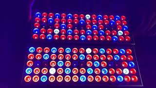 Unboxing Amazon's Cheapest LED Grow Light - (GIVEAWAY!!!)