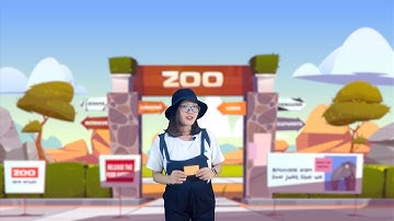 Bé học Tiếng Anh về Tên các con vật trong sở thú cùng Chuồn Chuồn TV 💖💖💖 | Let