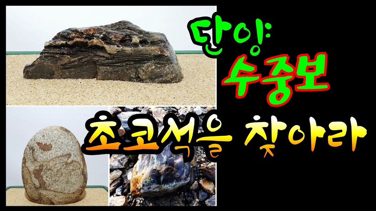 수석탐석 단양 수중보 초코석을 찾아라