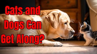 10 Proven Tips To Raise Dogs And Cats Together Peacefully