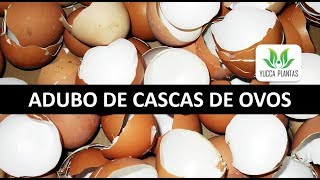 ADUBO DE  CASCAS DE OVOS: como fazer de forma simples, rápida e sem mau cheiro!