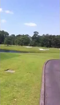 Golf Swings John
