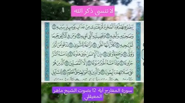 سورة المعارج آية 12 بصوت الشيخ ماهر المعيقلي