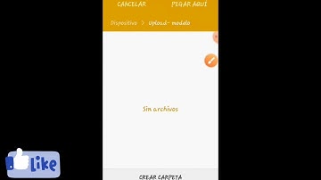 Como editar un body o head en celular android.Graal Online Classic.
