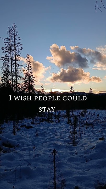 Tyler Farr I Wish Dogs Could Live Forever I wish dogs could live forever ~ Tyler Farr - YouTube