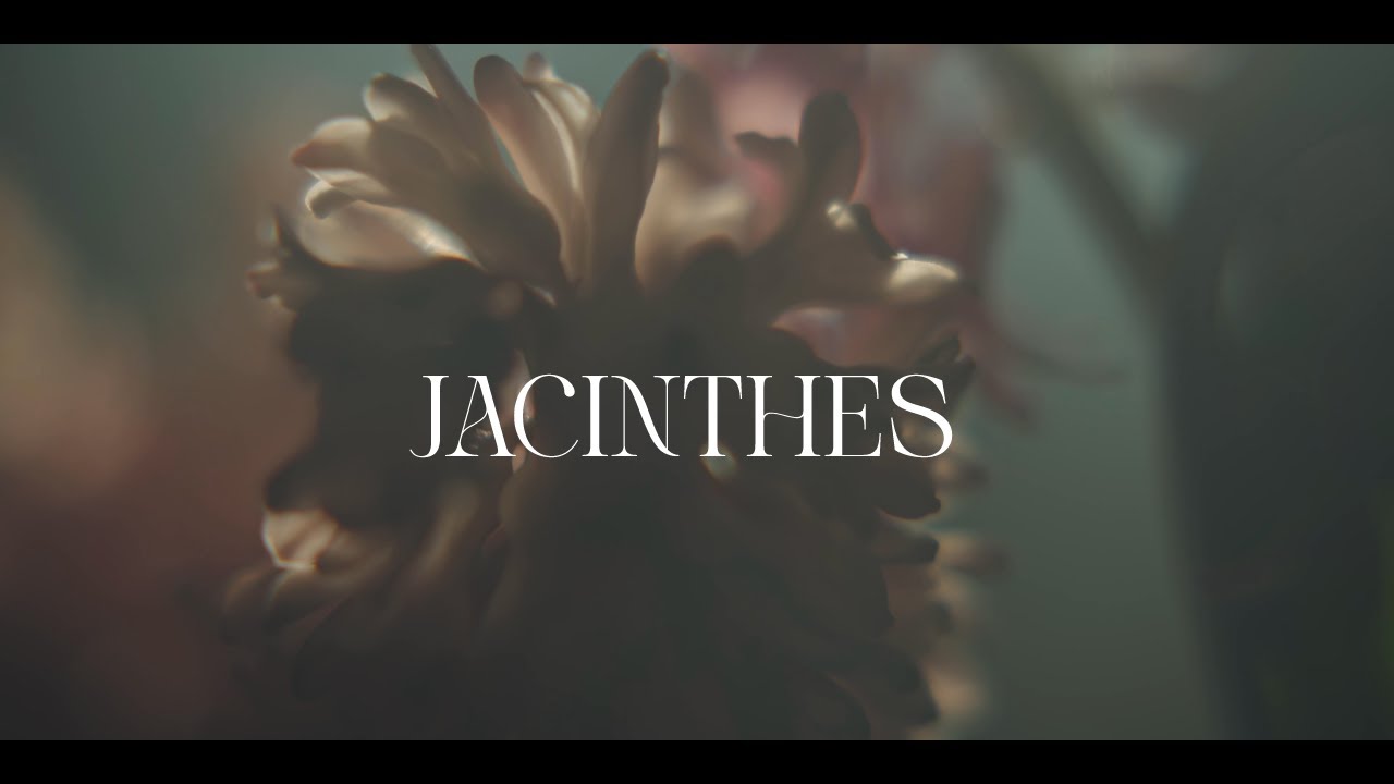LEAF. - Jacinthes