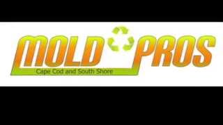 Cape Cod Mold Removal - 508-888-0999 - Mold Care Pros