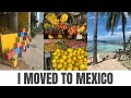 WHY I MOVED TO MEXICO DURING A PANDEMIC | SOLO FEMALE TRAVEL | ONLINE CLASSES FOR THE SEMESTER
