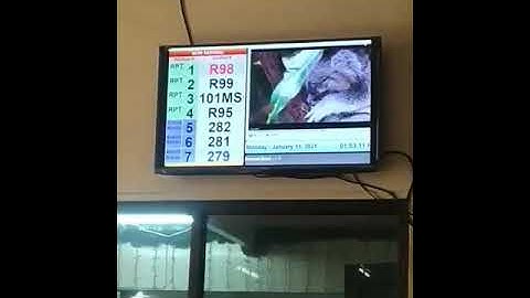 Queuing System Indoor Setup for LGUs