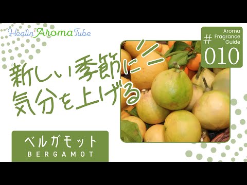 ベルガモット Healin Aroma Tube フレグランス ガイド 010