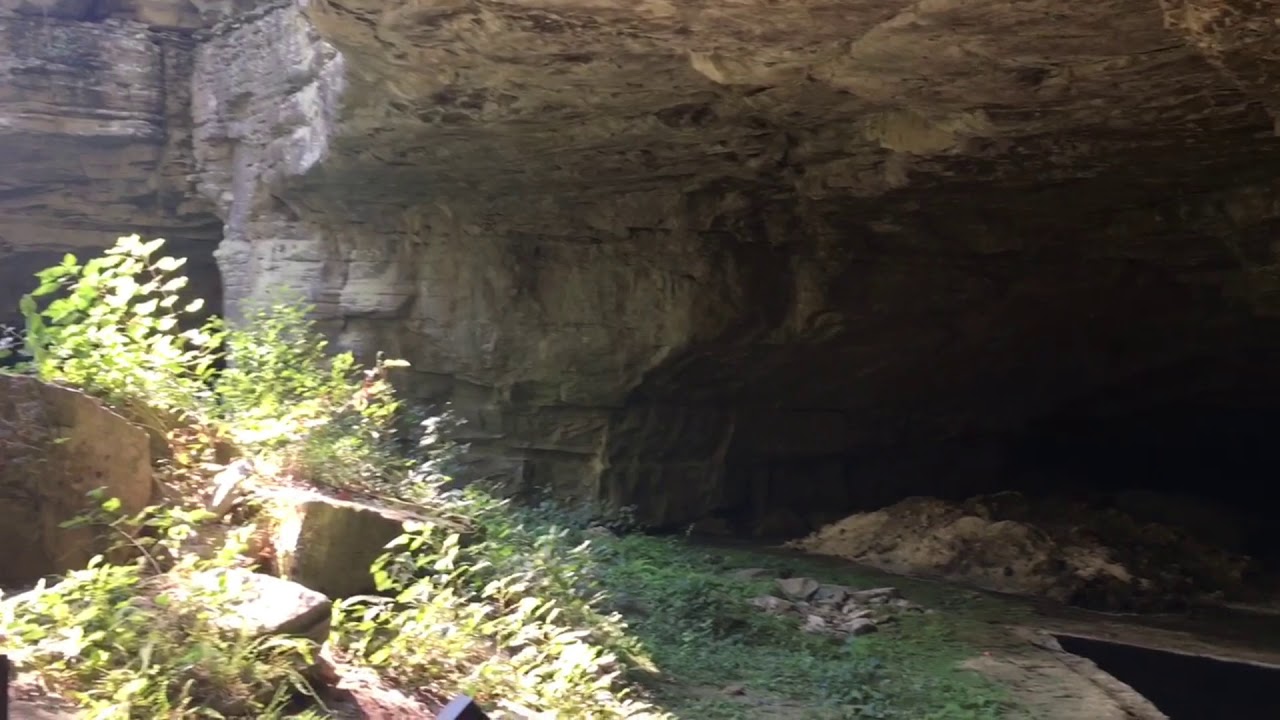 RUSSELL CAVE 2019