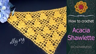 🌺 How To Crochet «Acacia» shawlette • Free Crochet Pattern And Tutorial • ellej.org