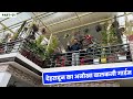           beautiful balcony garden of dehradun  garden tour