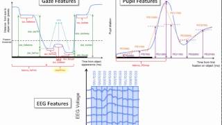 Famous Multimodal BCI Feature Selection Demo 2 Wealth