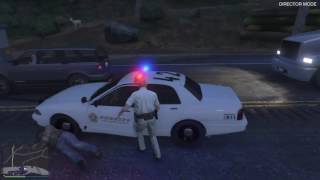 DUI CheckPoint GTA V