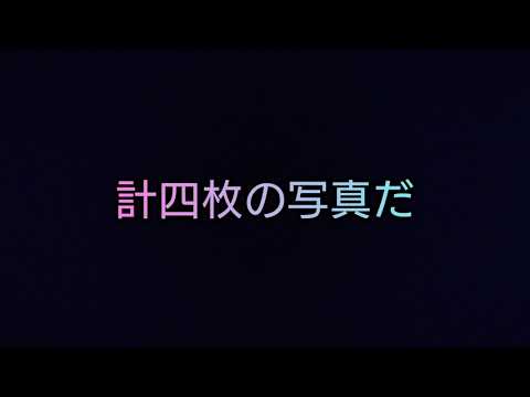 フレンドの回線弱者の写真集【フォートナイト】