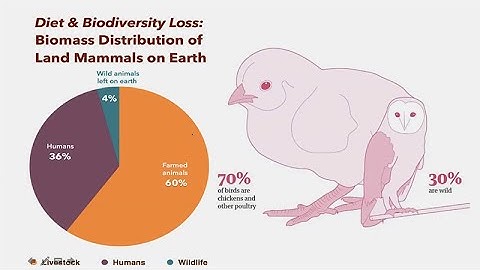 CARTA: Sixth Mass Extinction, the Tree of Life, and the Future of Humanity