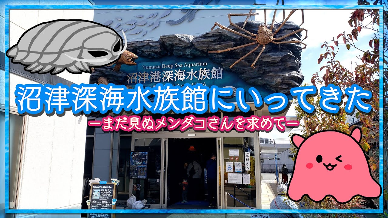 沼津深海水族館にいってきました
