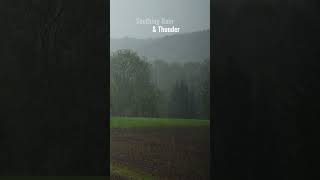 Rain Thunder and Nature screenshot 4