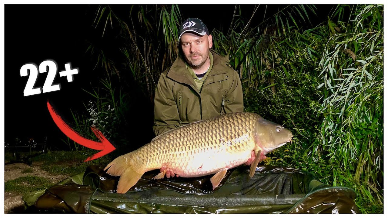 A móri Ezerjó horgásztó vad óriásai