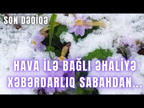 Video: Hanımeli - açıq havada əkin və qulluq
