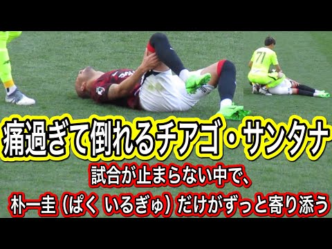 痛過ぎて倒れるチアゴ・サンタナ！試合を止めない中で、朴一圭（ぱく いるぎゅ）だけがずっと寄り添う浦和レッズ対サガン鳥栖明治安田Ｊ１リーグ浦和レッズ DAZNハイライトサッカー日本代表サポーターチャント