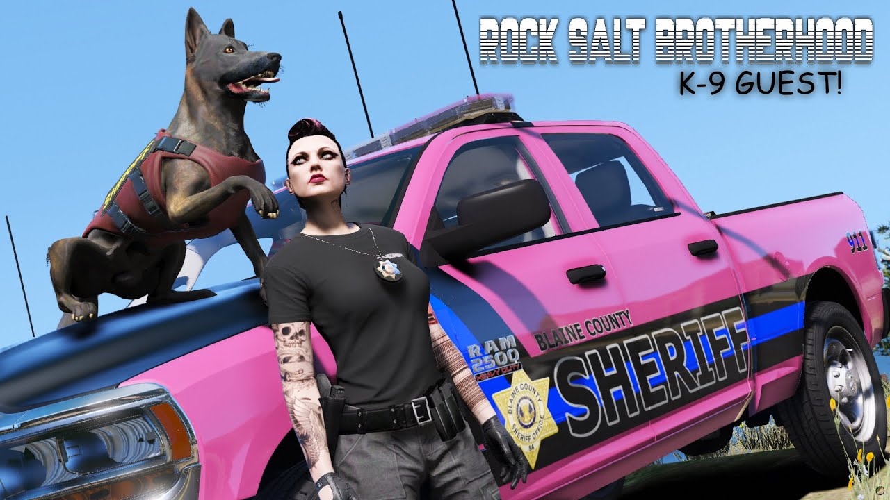 K-9 Koi Returns with a Deadly Bite! [GTA RP] - RSB Guest #2