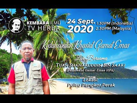 TV Herba 24 Sept 2020 Kedahsyatan Khasiat Gamat Emas 