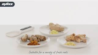 Zyliss 2 in 1 Ginger Tool