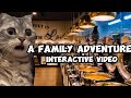 Cat memes a family adventure interactive  550k special